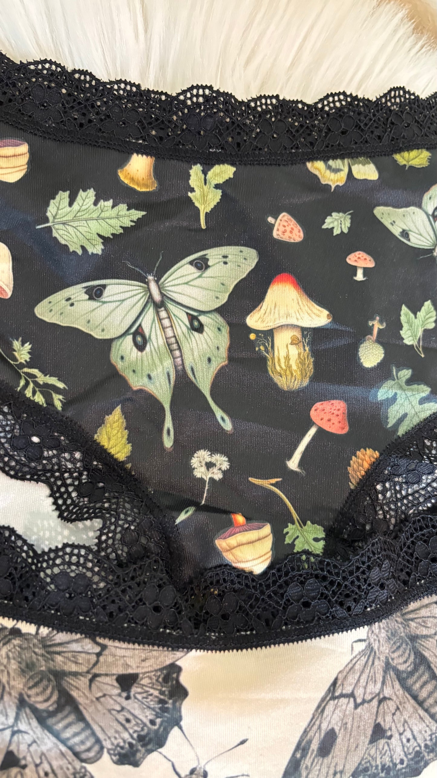 Pantaleta Insectos