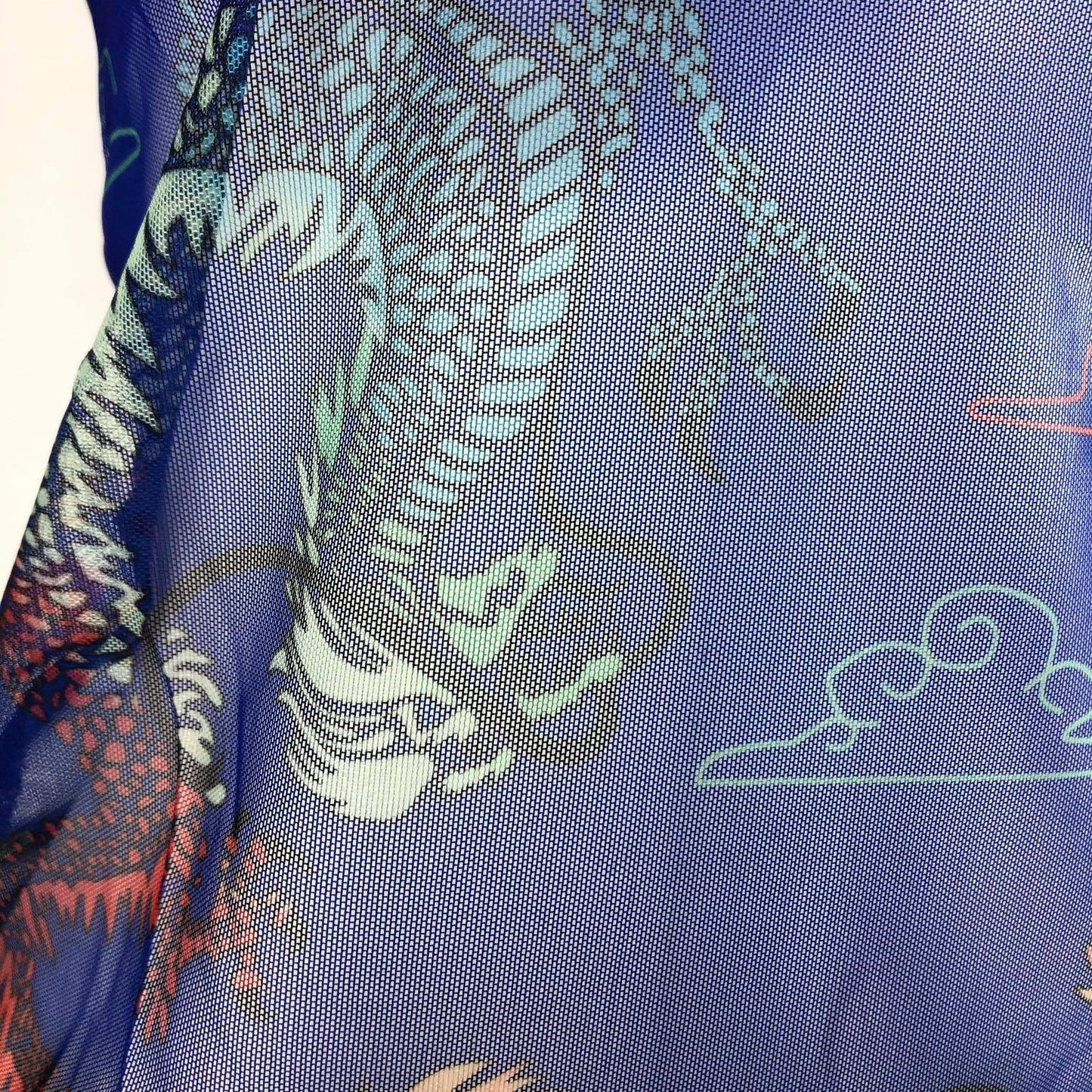 Top Dragones