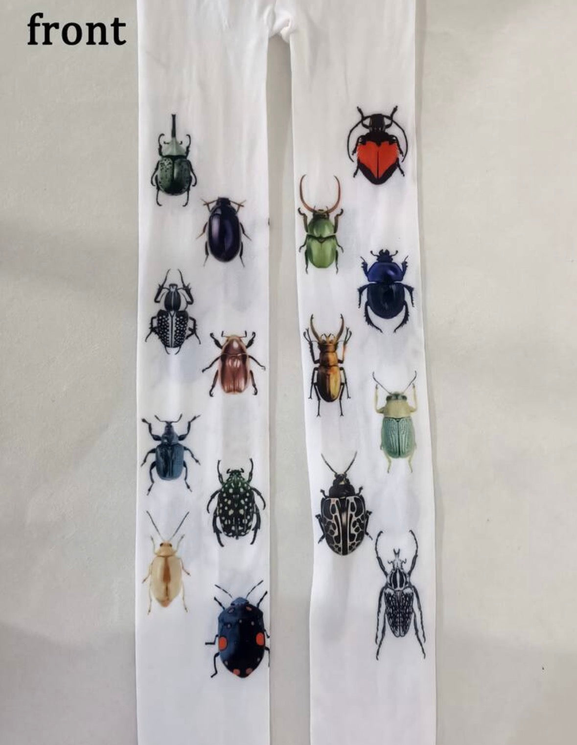 Pantimedias Insectos