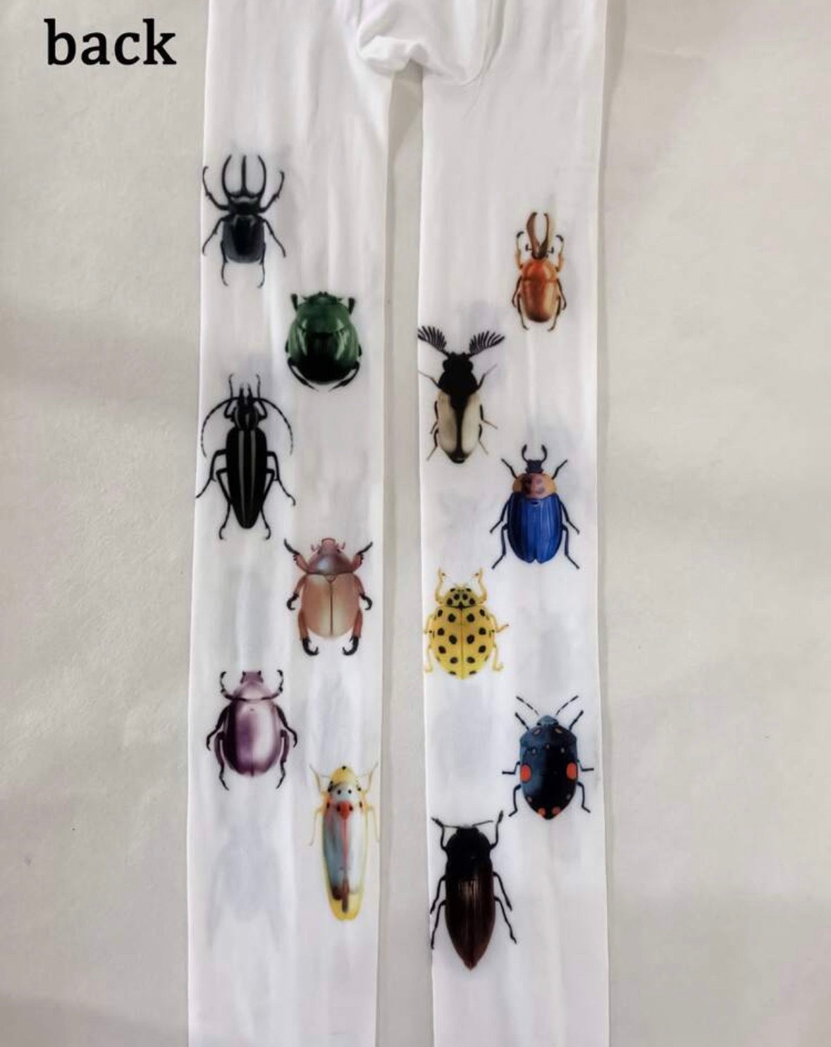 Pantimedias Insectos