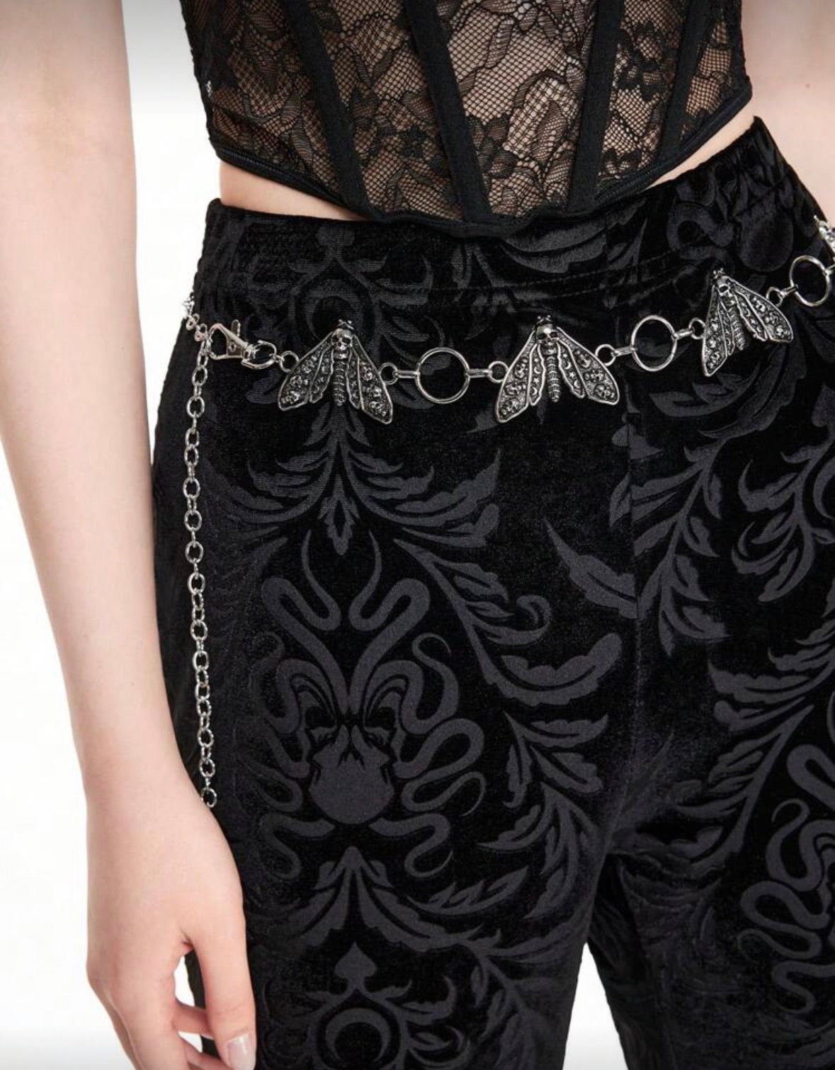 Cadena Cinturón Polilla