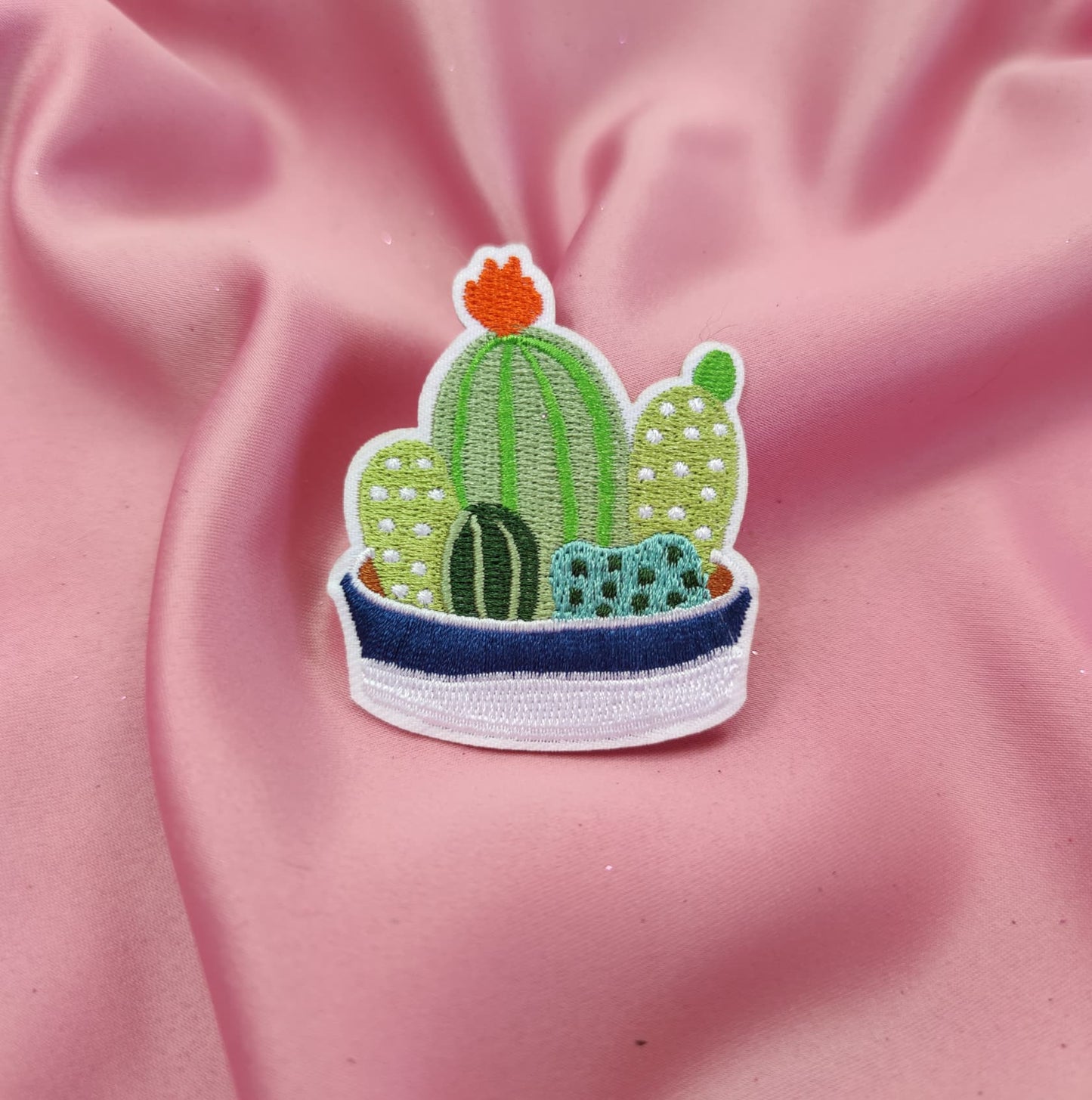 Parche Terrario Cactus