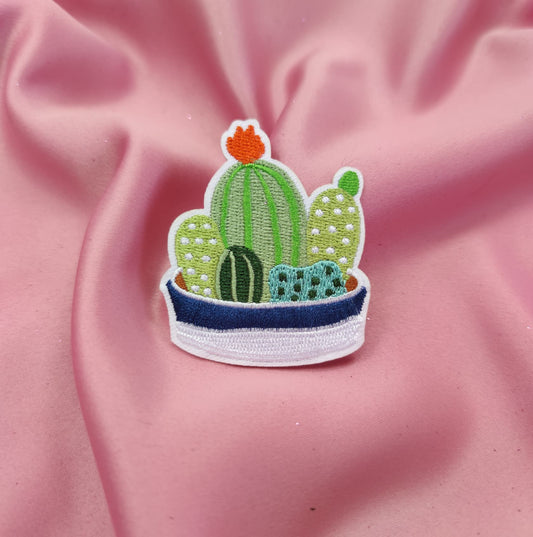 Parche Terrario Cactus