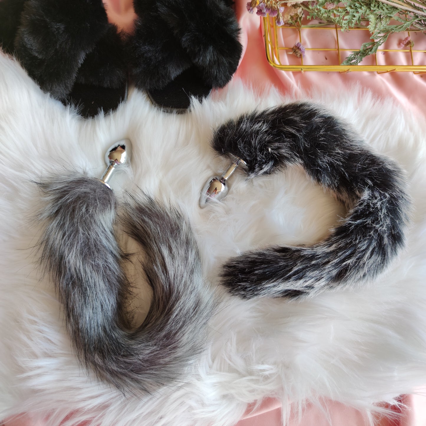 Plug Tail Fox