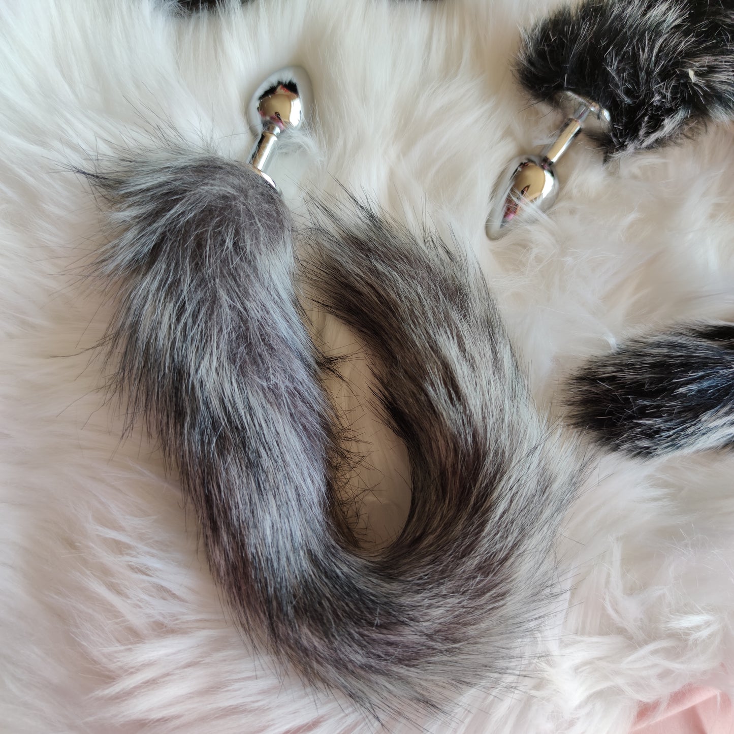 Plug Tail Fox