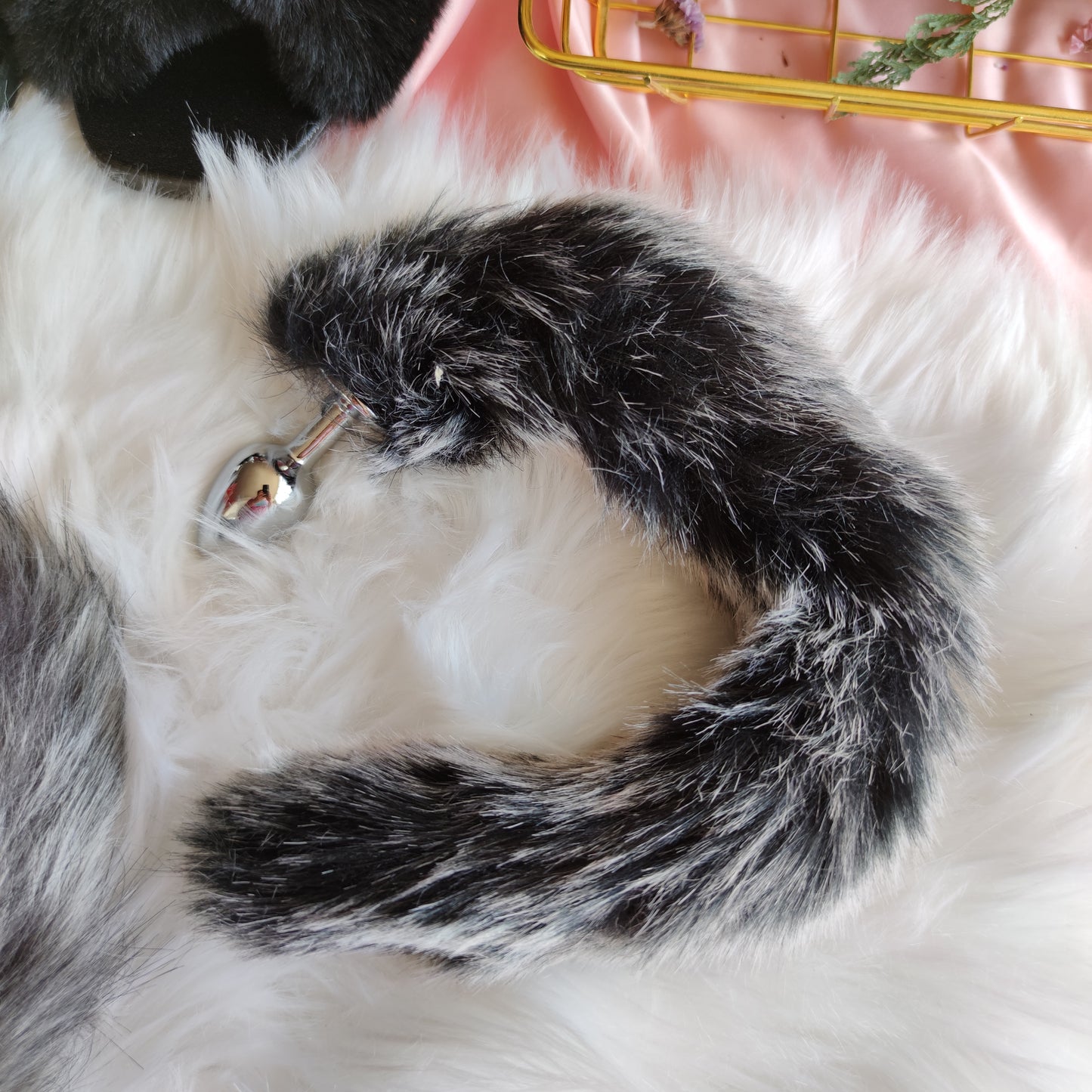 Plug Tail Fox